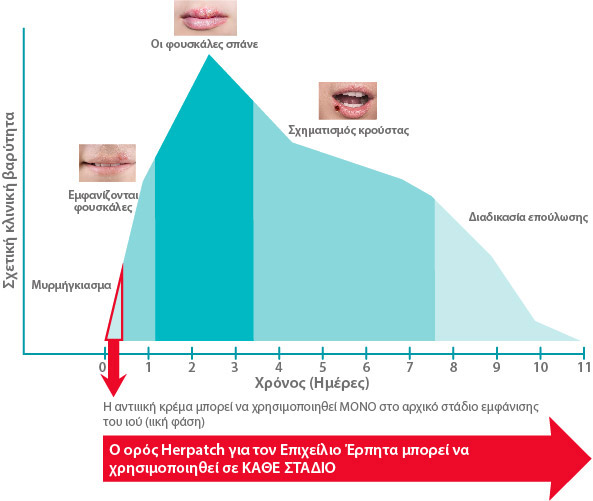 stages-of-a-blister-outbreak_GR